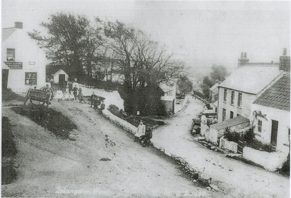 Copy of a photograph dated 1899 showing part of the Main Street Llangwm Pembrokeshire.  Anstee's shop and bakehouse was featured, the bread being delivered by horse and cart. Harry Palmer was the owner